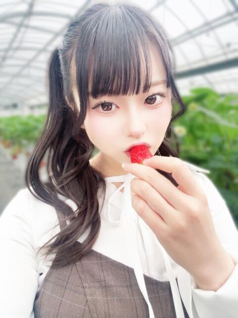 うさ 浜松ハンパじゃない学園（デリヘル）