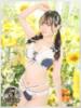 せな ニュー不夜城（/）