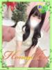 ちひろ（発育の良い体、電マイキ ハニービー（Honey Bee）（/）