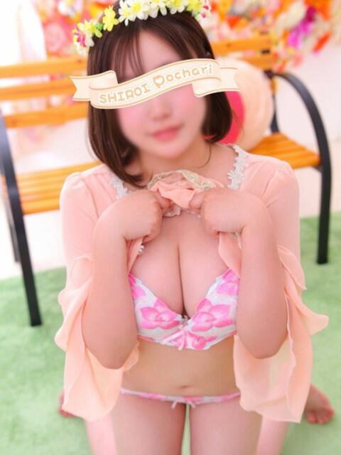 のん 白いぽっちゃりさん仙台店（ぽっちゃり専門デリヘル）