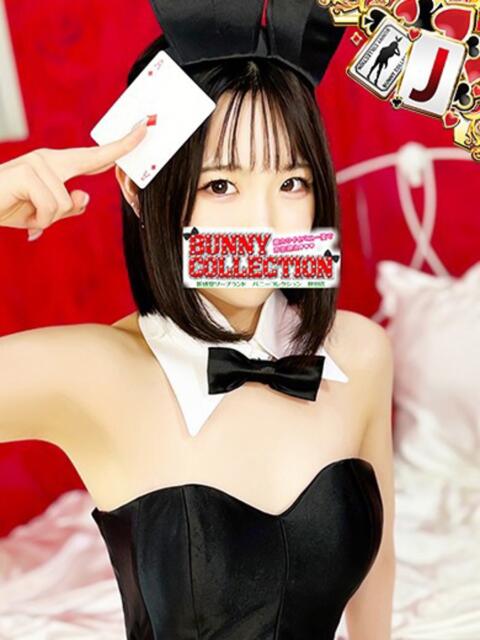 レイカ バニーコレクション秋田店(ソープランド)