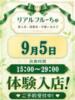 わたあめ わちゃわちゃ密着リアルフルーちゅ西船橋（/）