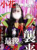 小花【こはな】 丸妻 西船橋店（西船橋/デリヘル）