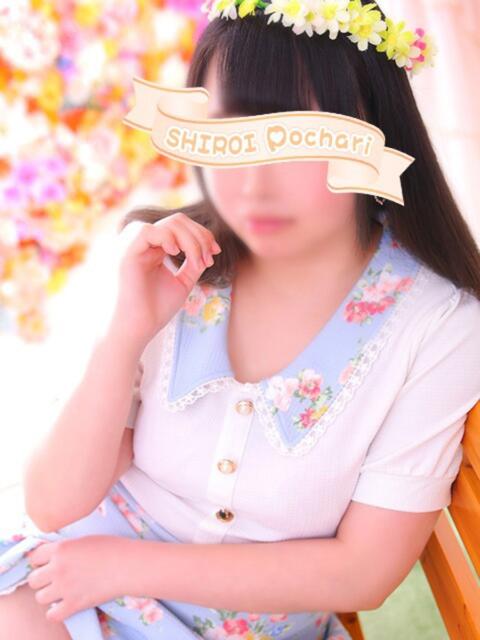 なるみ 白いぽっちゃりさん仙台店(ぽっちゃり専門デリヘル)