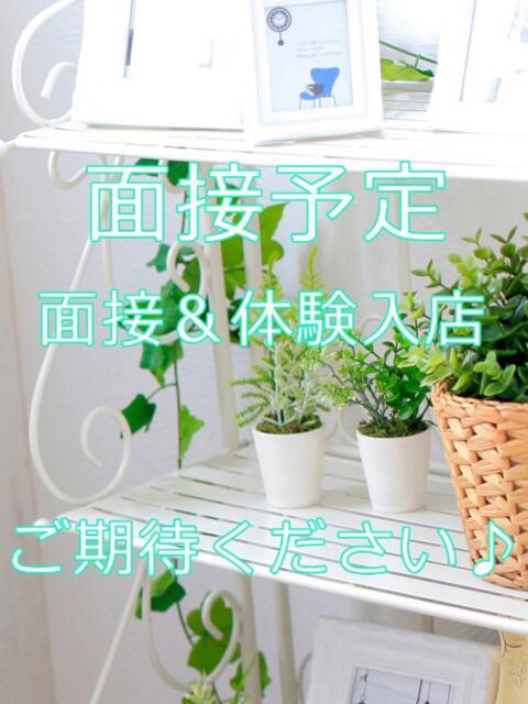 るみ 大人の遊園地 所沢店(デリヘル)
