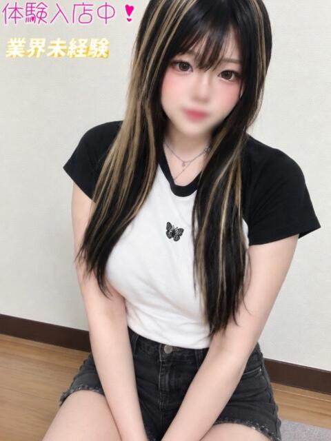 むに 京都クレージュ名鑑　極（デリヘル）