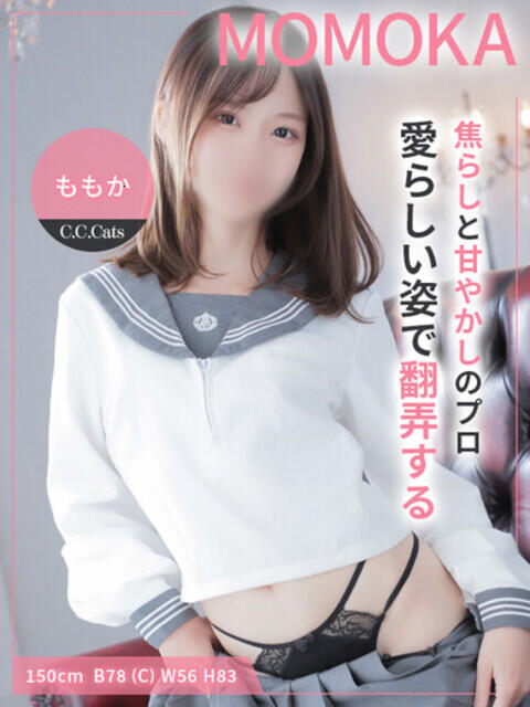 ももか CCキャッツ(受付型M性感&派遣型M性感)