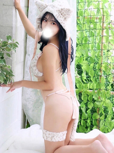 みさき 秘密倶楽部 凛 船橋本店（お姉さん・人妻デリへル）