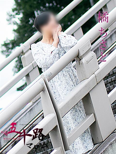 橘ちさと（たちばなちさと） 五十路マダム福知山店(カサブランカグループ)（熟女系デリヘル）
