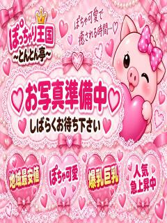 めろん ぽっちゃり王国とんとん亭（小田原/デリヘル）