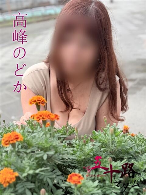 高峰のどか(たかみねのどか) 五十路マダムエクスプレス厚木店(カサブランカグループ)(熟女系デリヘル)