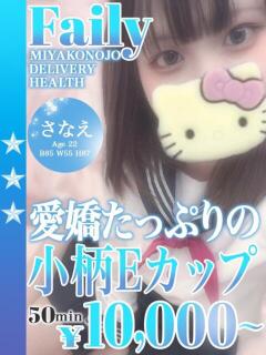 さなえ フェアリー【都城店】（西都城/デリヘル）