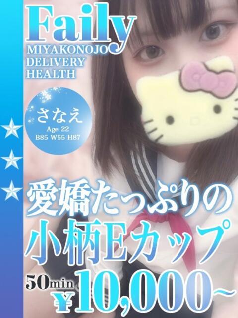 さなえ フェアリー【都城店】（デリヘル）