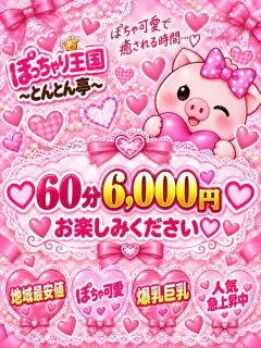 たけこ ぽっちゃり王国とんとん亭（小田原/デリヘル）