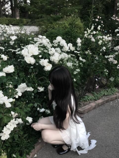せり Love Trip（セクキャバ）