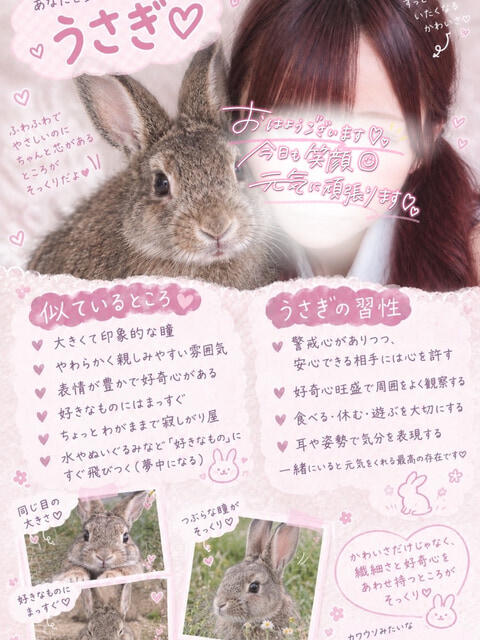 にゃん 池袋あられ(派遣リフレ)