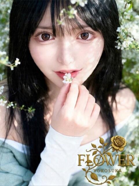 はる Flower（フラワー）（デリヘル）