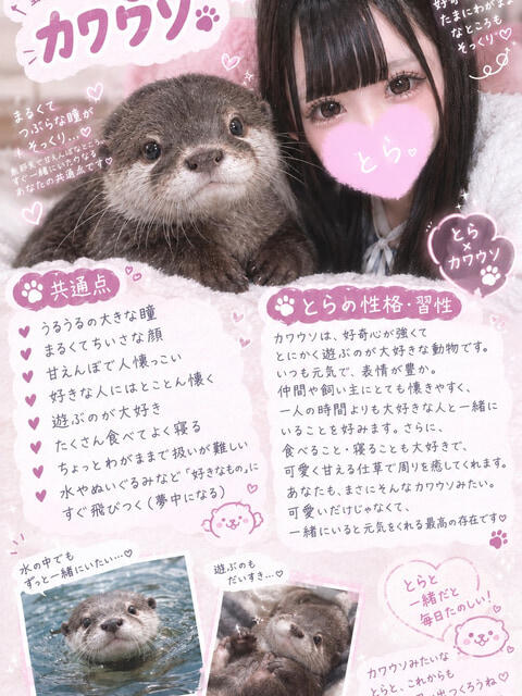 とら 池袋あられ（派遣リフレ）