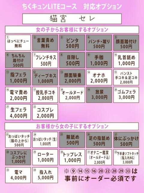 猫宮 セレ PM17時（出張エステ）