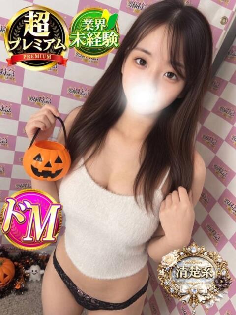 るうな 奥様特急　上野・鶯谷店（駅待ち合わせ型人妻デリヘル）