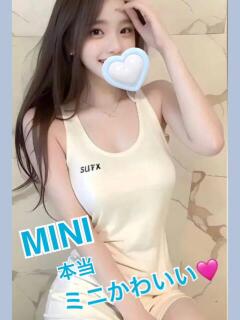 ミニ