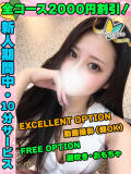 ななみうさ イクイクサークル鶯谷店（鶯谷/デリヘル）