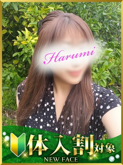 はるみ 水戸人妻花壇(人妻系デリヘル)