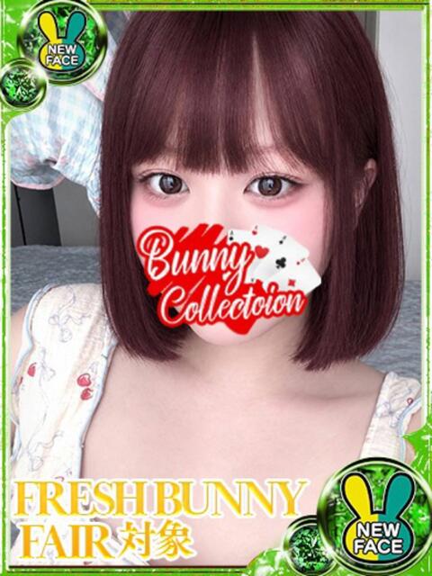 アヤ バニーコレクション新潟店（ソープランド）