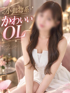 小動物系OL ASK TOKYO（六本木/デリヘル）