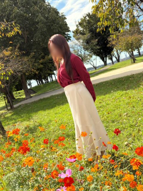 向井 ちか 30・40・50代☆人妻熟女コレクション(人妻系デリヘル)