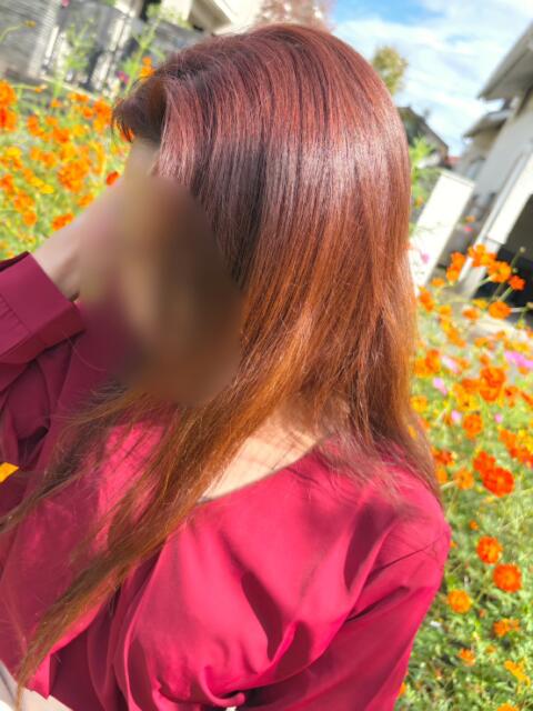 向井 ちか 30・40・50代☆人妻熟女コレクション(人妻系デリヘル)