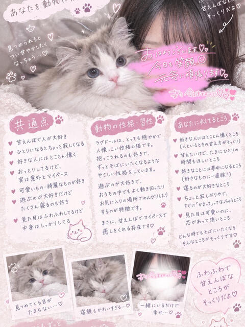 ももな 池袋あられ(派遣リフレ)