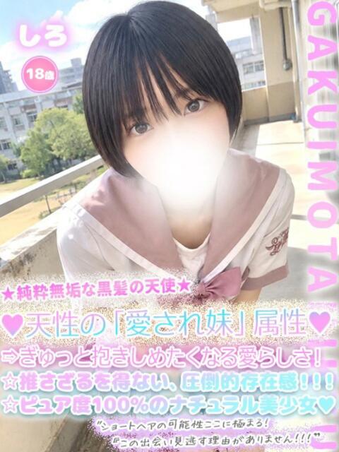 しろ 学校帰りの妹に手コキしてもらった件 谷九（受付型オナクラ（手コキ））
