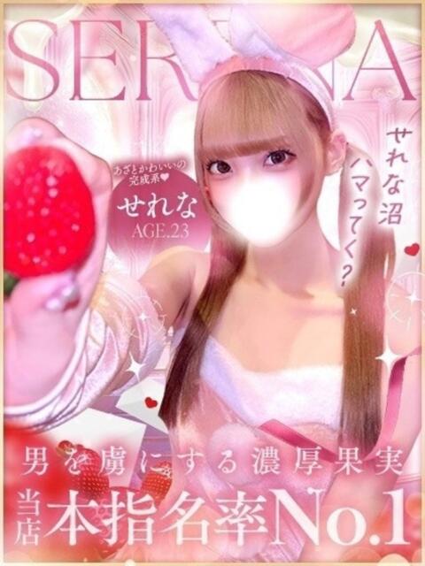 せれな 姫コレクション 高崎前橋店（デリヘル）