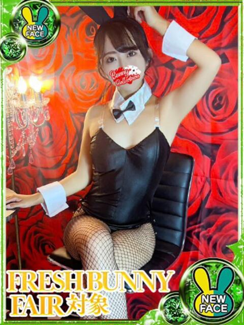 ラナ バニーコレクション新潟店（ソープランド）