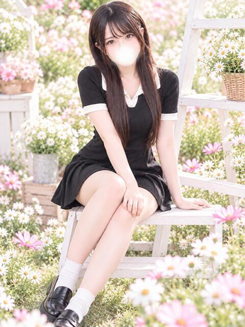 しほ 東京リップ 池袋店（美女・美少女専門ホテヘル ＆デリバリーヘルス）