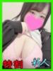 ホッカイエビ　北海海老 女の子市場（/）