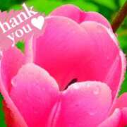 ヒメ日記 2024/12/27 03:31 投稿 チェリー Candy Love