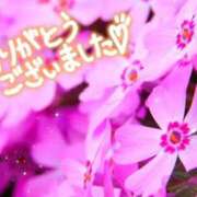 ヒメ日記 2024/12/29 02:08 投稿 チェリー Candy Love