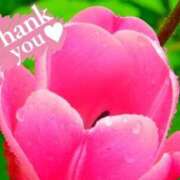 ヒメ日記 2025/01/22 02:10 投稿 チェリー Candy Love