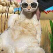 ヒメ日記 2025/02/19 17:31 投稿 チェリー Candy Love