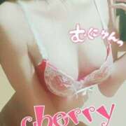 ヒメ日記 2025/03/01 02:10 投稿 チェリー Candy Love