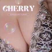 ヒメ日記 2025/03/11 11:40 投稿 チェリー Candy Love