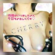 ヒメ日記 2025/03/22 12:16 投稿 チェリー Candy Love