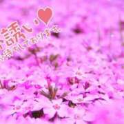 ヒメ日記 2025/04/27 15:41 投稿 チェリー Candy Love