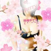 ヒメ日記 2026/01/01 14:58 投稿 チェリー Candy Love