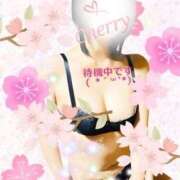 ヒメ日記 2026/04/01 12:40 投稿 チェリー Candy Love