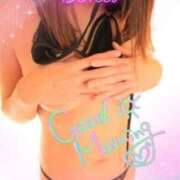 ヒメ日記 2025/01/31 11:40 投稿 そら ぴんくはうす