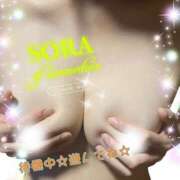 ヒメ日記 2025/03/20 20:29 投稿 そら ぴんくはうす