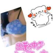 ヒメ日記 2025/04/04 17:10 投稿 そら ぴんくはうす